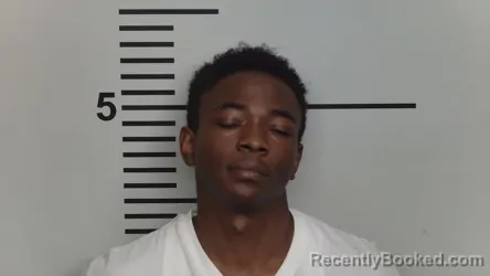 Mugshot of DOMINQUE MARTIN