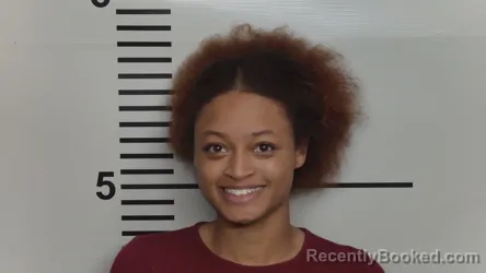 Mugshot of LORRAINE WILSON