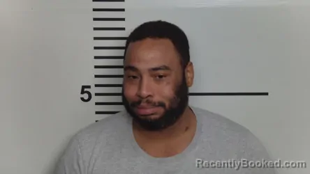 Mugshot of JAMEAZE L HOLLIS