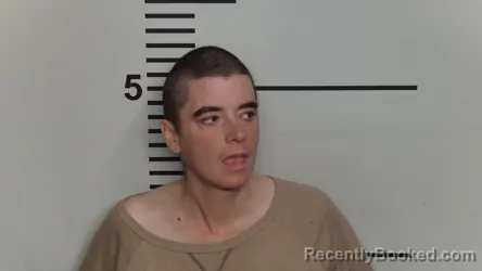 Mugshot of LYSSA M POLINSKI