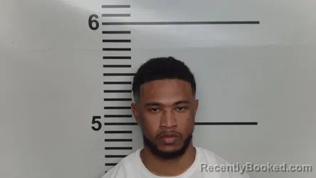 Mugshot of ANTHONY E OWENS