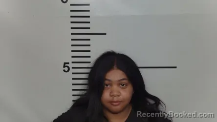 Mugshot of MARIAM ABDELKARIM ISHAK