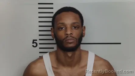 Mugshot of CHASSE ALEXANDER SANDS