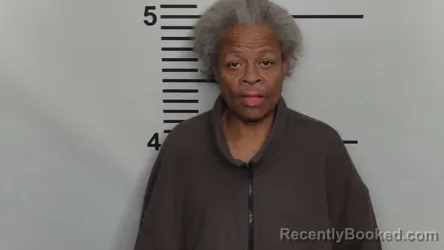 Mugshot of JANET RENEE ALLEN