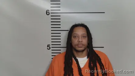 Mugshot of RONNIE LEE ROBINSON