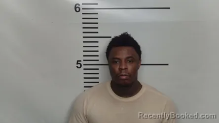 Mugshot of ORAND L COLLINS