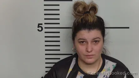 Mugshot of ALIBECH VALDES BONILLA