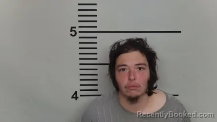 Mugshot of ANNE OWEN