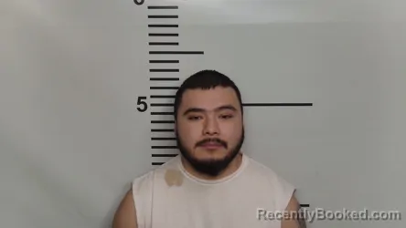 Mugshot of JESUS AMADO ALVARADO