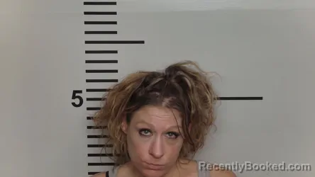 Mugshot of HEATHER HALE