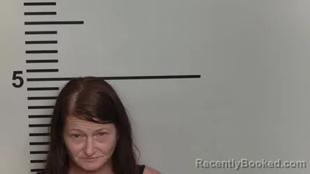 Mugshot of AMANDA R MCGILL