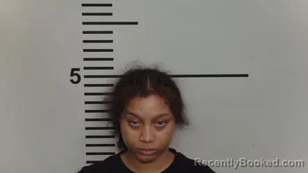 Mugshot of AUDIANA WILSON