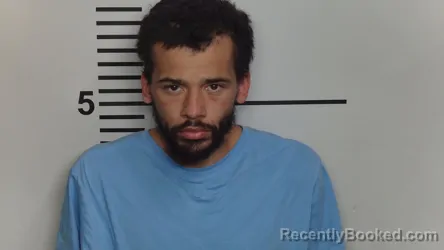 Mugshot of BRYSON C HOLLAND