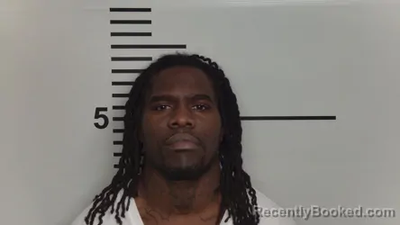Mugshot of DMADRIC MITCHELL