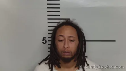 Mugshot of OLAJUWON PATTERSON