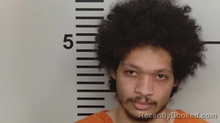 Mugshot of DONAVON E GALLOWAY