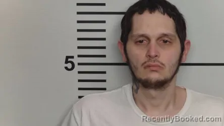 Mugshot of TYLER BARTLETT