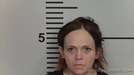 Mugshot of LISA N PERRY