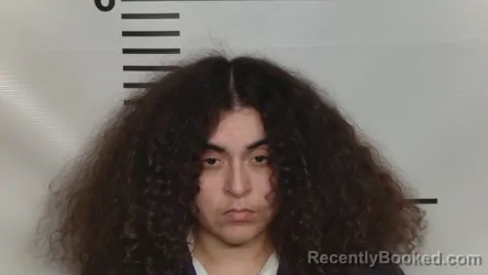 Mugshot of SHAYLA LYNN JONES