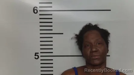 Mugshot of CHRISTY LADEEN FERGUSON