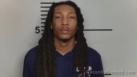 Mugshot of DAVID E HOLT