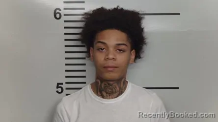 Mugshot of TIMOTHY HASSELL
