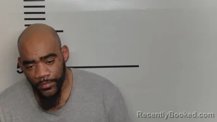 Mugshot of JESSE RYAN ROBERTS