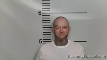 Mugshot of JIMMY D NETHERTON