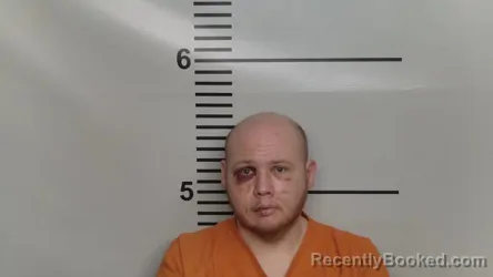 Mugshot of ALEK A NELSON