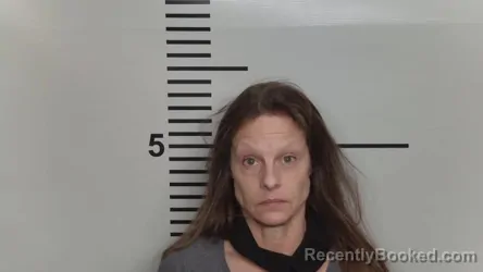 Mugshot of KIMBERLY J CHANEY-HEFLIN
