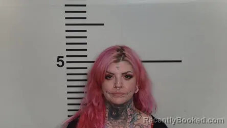 Mugshot of MEGAN BRASILL