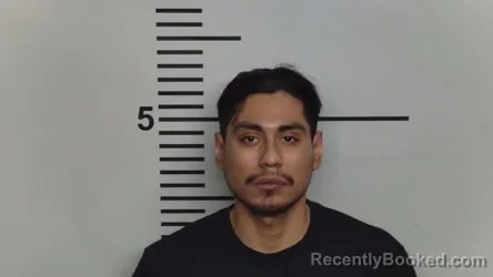 Mugshot of BRIAN HERRERA