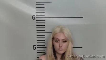 Mugshot of DESIREE M PALMER