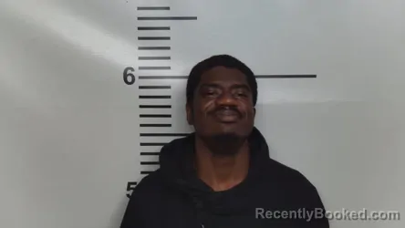 Mugshot of TELFON G HOGAN