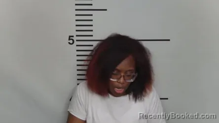 Mugshot of JOHNETTA ROBINSON