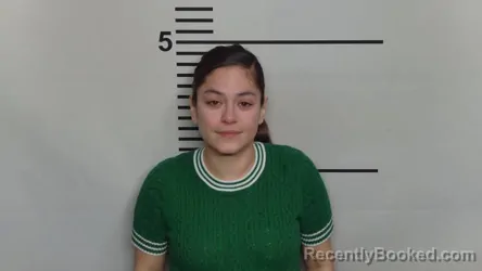 Mugshot of DANIELA SANCHEZ