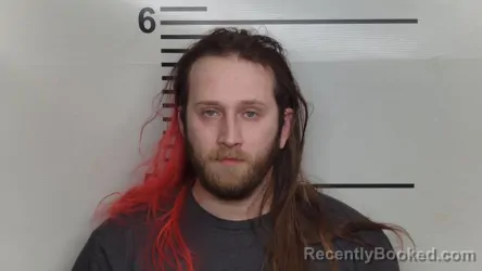 Mugshot of TANNER M CURREY