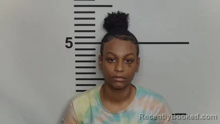 Mugshot of RYANE DECOLE HOLMES