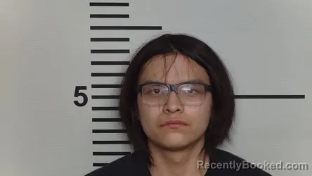 Mugshot of NATHAN BEGAY