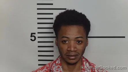 Mugshot of ALLY MWATI