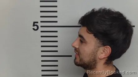 Mugshot of DAVID ESTRDA