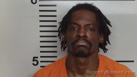 Mugshot of JEFFERY T SUMMERS