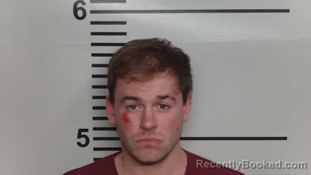 Mugshot of BYRON N FRANZELL