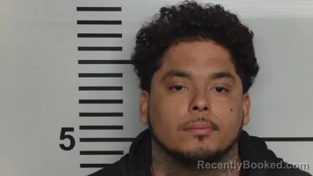 Mugshot of CESAR J PEREZ