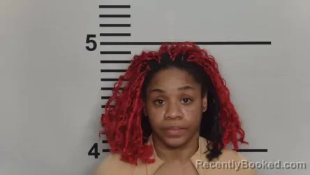 Mugshot of TERRIE Y ALLEN booked in Jefferson County, Kentucky on March 14, 2026