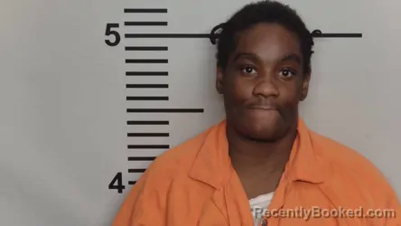 Mugshot of TANYA JOHNSON booked in Jefferson County, Kentucky on March 16, 2026