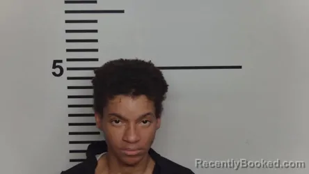 Mugshot of BRITTANY SHAVON HINKLE booked in Jefferson County, Kentucky on March 17, 2026