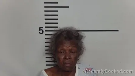 Mugshot of CHRISTINA MCWILLIAMS booked in Jefferson County, Kentucky on March 20, 2026