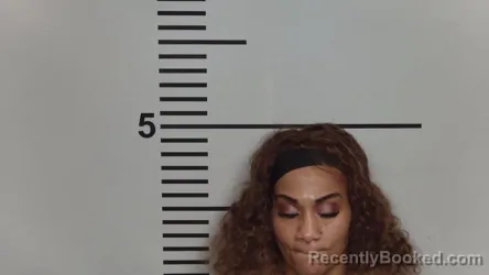 Mugshot of AMY N JAMISON booked in Jefferson County, Kentucky on March 22, 2026