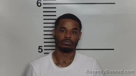 Mugshot of TRACY L WILLIAMS booked in Jefferson County, Kentucky on March 23, 2026